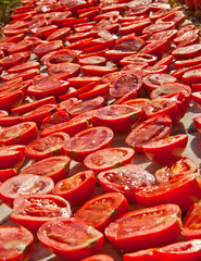Naklejka premium Fresh Organic Tomatoes Under Hot Sun To Dry