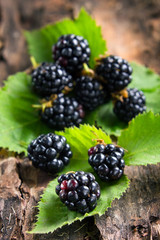 Ripe blackberries on bark in the forest