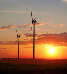 Obraz premium Wind turbines over the sunset