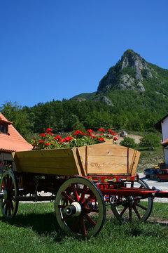 Old wooden cart full of flowers near the mountains