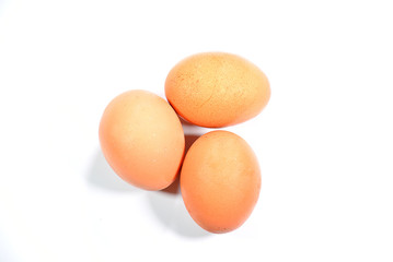 Eggs on a white background