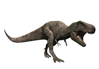 Tyrannosaure gueule ouverte