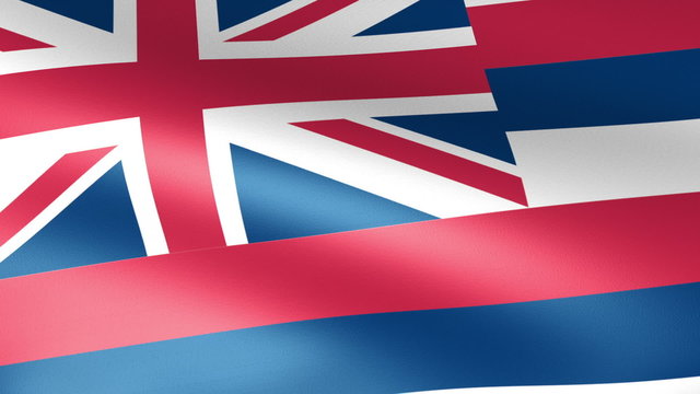 Hawaii State Flag Waving