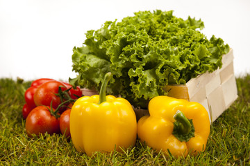 Vegetable and fitness in green grass