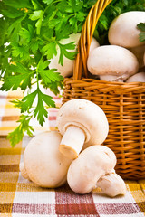 Wicker basket full of fresh champignon mushrooms