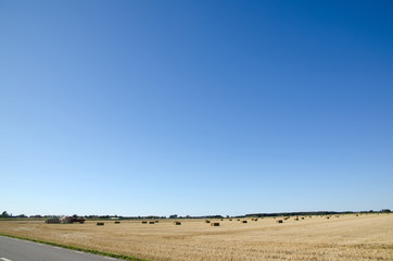 Fototapeta premium Harvesting with tractor in a field with straw bales