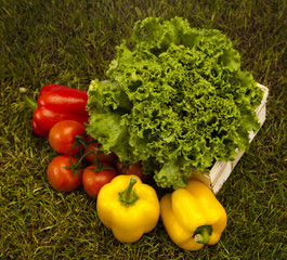 Vegetable and fitness in green grass