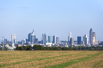 Fototapeta na wymiar skyline of Frankfurt
