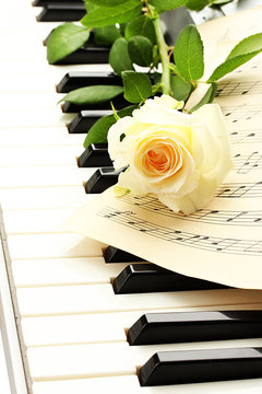 background of piano keyboard with rose