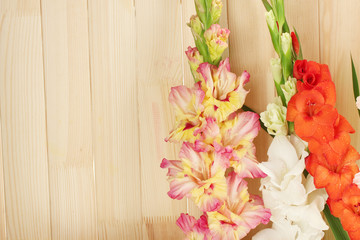 Beautiful colorful gladiolus on wooden background close-up