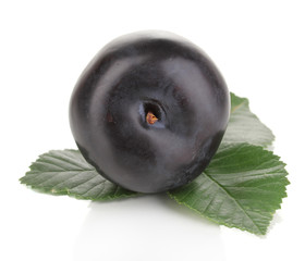 Rip plum isolated on white