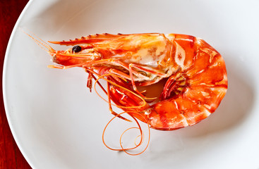 steamed prawn on white dish
