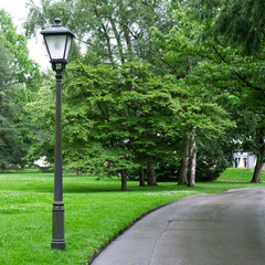 flashlight to illuminate the park