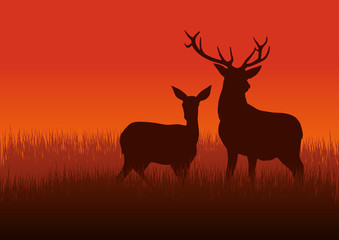 Silhouette illustration of a deer and doe on meadow