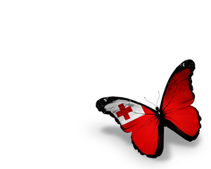 Tonga flag butterfly, isolated on white background