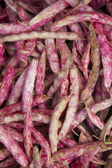 FAGGIOLI Calabria Photo © Herby Meseritsch