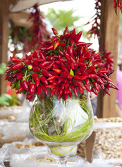 PEPERONCINO CALABRESE © Herby Meseritsch