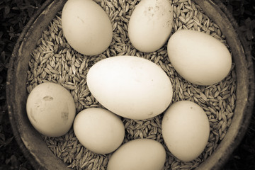 Eggs on the background of the grain.
