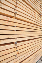 Fresh wooden studs