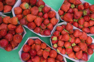 Markttag in der Provence - Erdbeeren