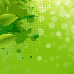 Green Nature Background With Blur Blob And Leaf