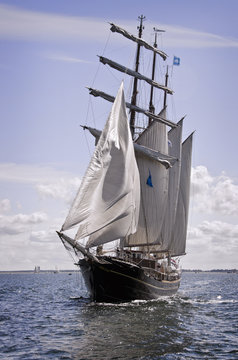 Gulden Leeuw