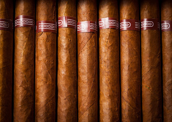 background cigars in humidor