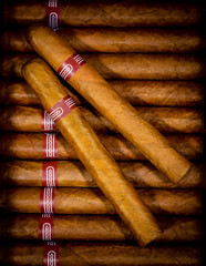 background cigars in humidor