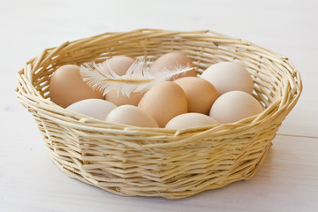 Organic eggs with chicken feather in basket