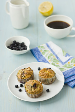 Blueberry Muffins