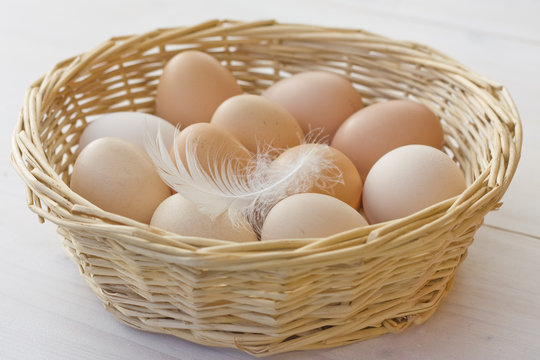 Organic eggs in basket with chicken feather