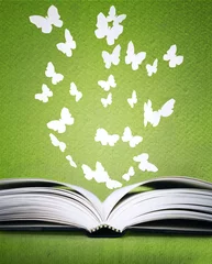 Wandaufkleber Opened book and butterflies © vali_111