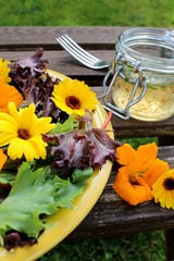 Pflücksalat mit Kapuzinerkresse und Calendula