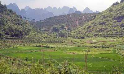 Foto op Canvas Mountain and rice fields of Yangshuo. China, Guilin, Asia. © petunyia
