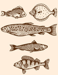 Vintage fish