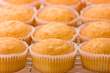 Baked cupcakes on a cooling rack