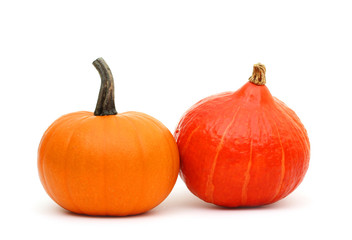 Hokkaido und Baby Bear Kürbis