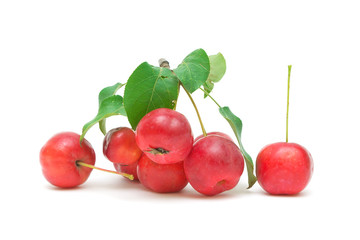 red apples on a white background
