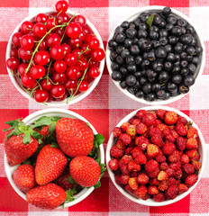 Wild berries in bowls