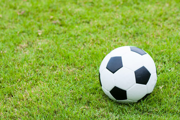 ball on grass.