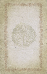 vintage shabby background with maple leaves