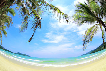 Obraz na płótnie Canvas Tropikalna plaża z palmami kokosowymi i białym piaskiem