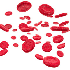 Rote Blutzellen freigestellt auf weissem Hintergrund