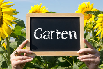 Schöner Garten mit Sonnenblumen
