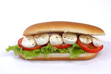 Sandwich with mozzarella tomato and salad