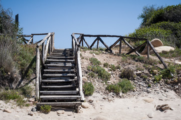 wooden stairs on the beach