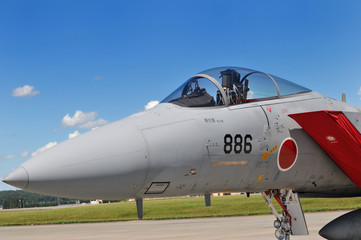 Fototapeta na wymiar F-16 Fighting Falcon