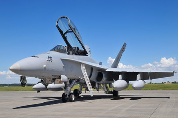 Fototapeta na wymiar F-18 Hornet