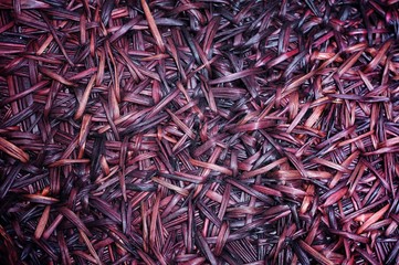 Texture of bamboo basket