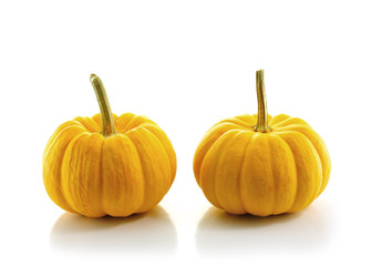 pumpkin on white background